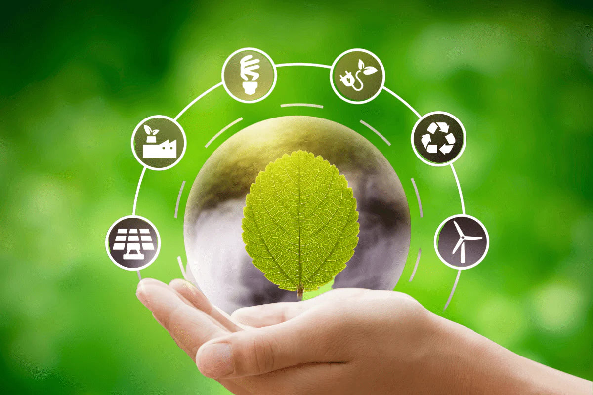 Eco-Friendly Living